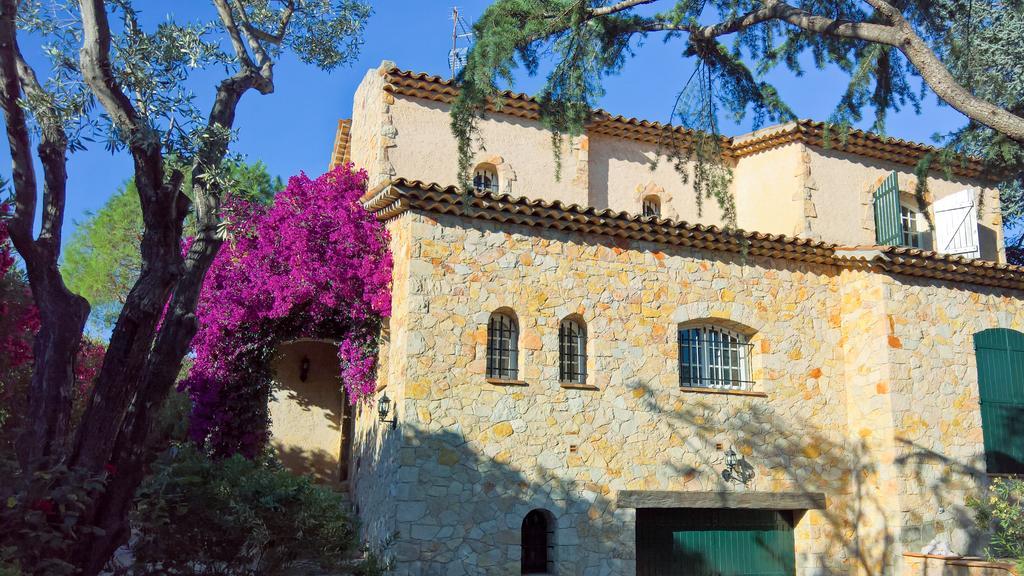 Vuyani * Antibes